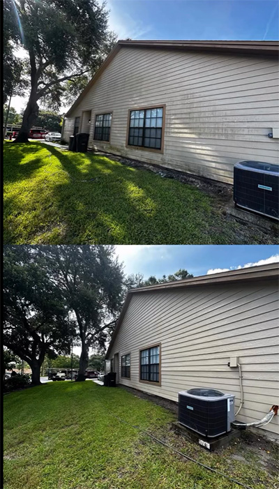 algae before and after