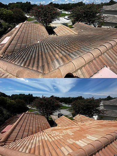 roof before after